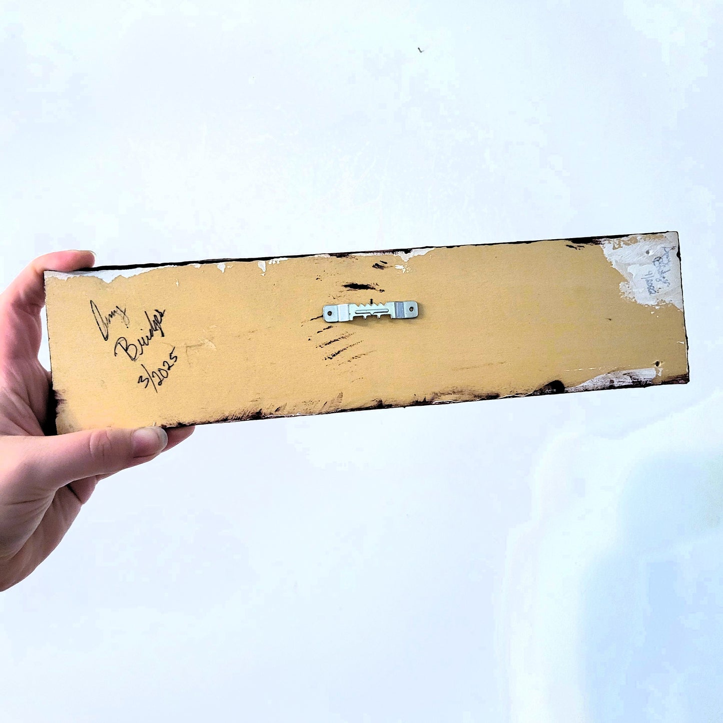 Blooming Wisteria Tree