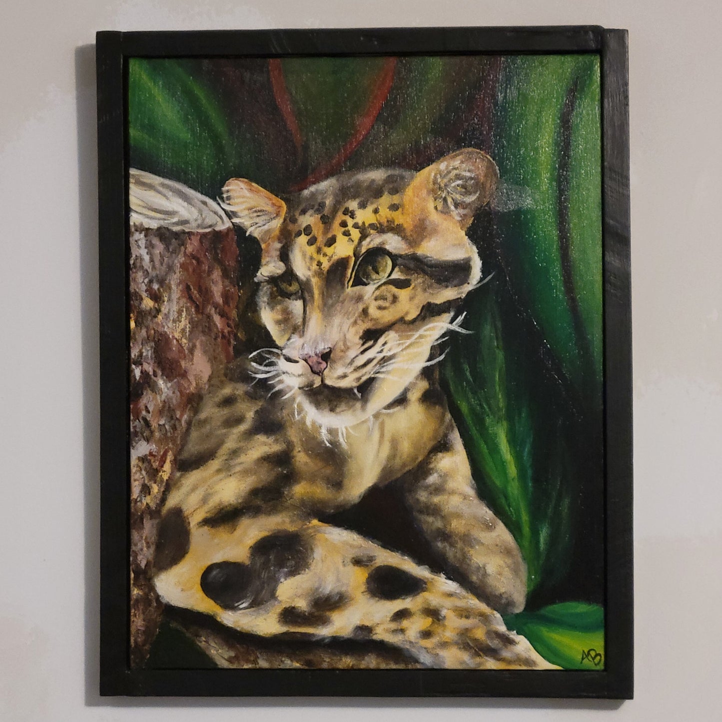 Clouded Leopard