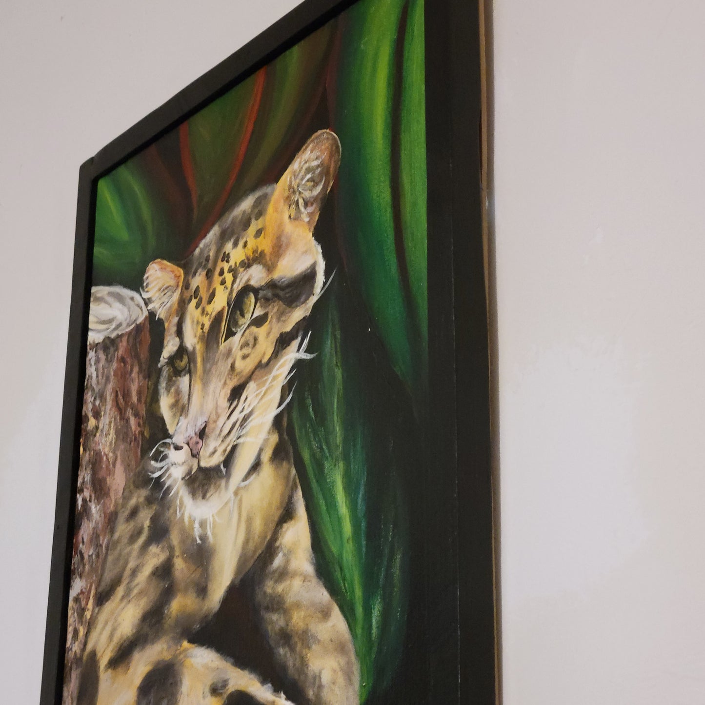Clouded Leopard