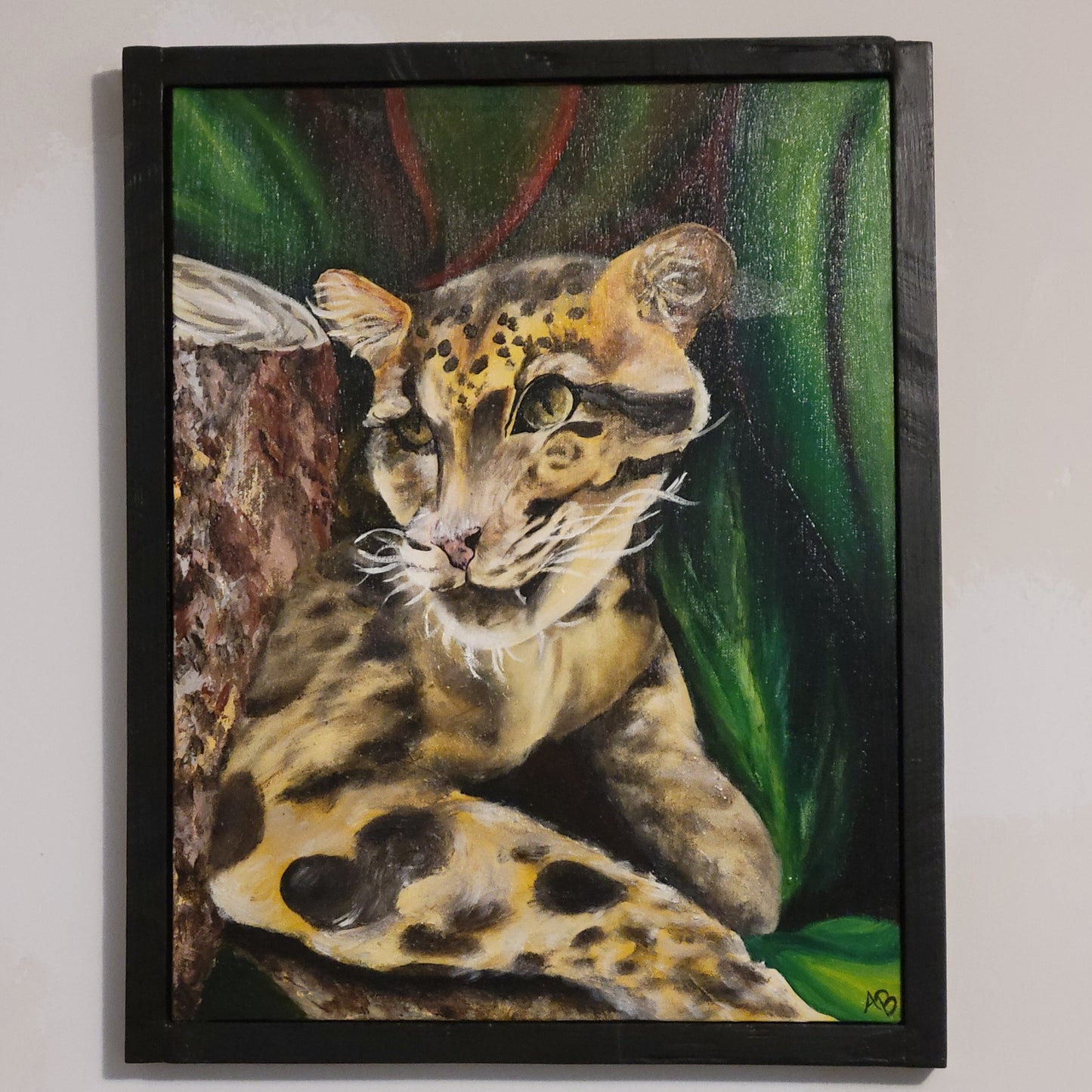 Clouded Leopard