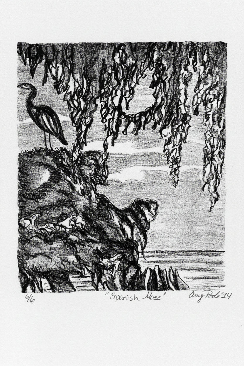 Black and white lithograph print of Spanish moss hanging from a cliff with a heron standing above a grassy coastal landscape and water stretching into the distance, Louisiana inspired fine art by Amy Bridges.